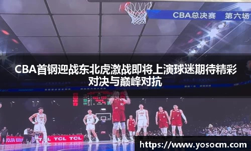 CBA首钢迎战东北虎激战即将上演球迷期待精彩对决与巅峰对抗